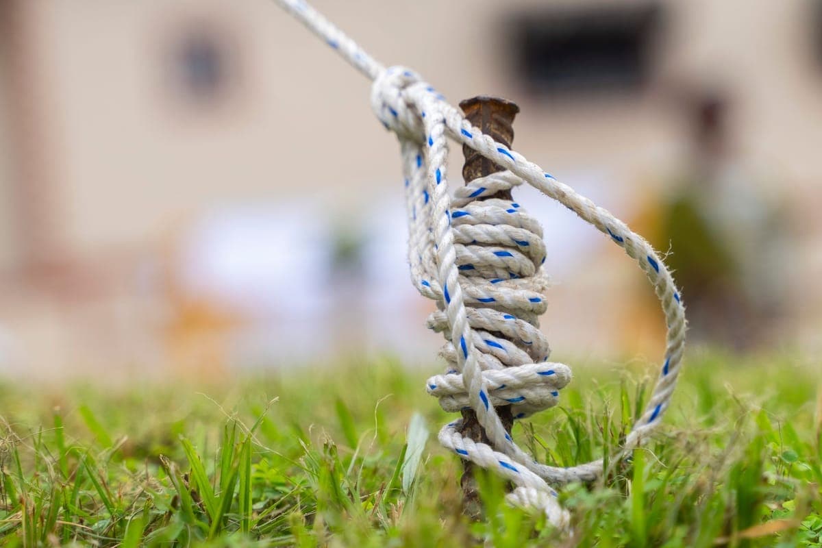 Guy lines running from a tall yard prop down to ground anchors in turf