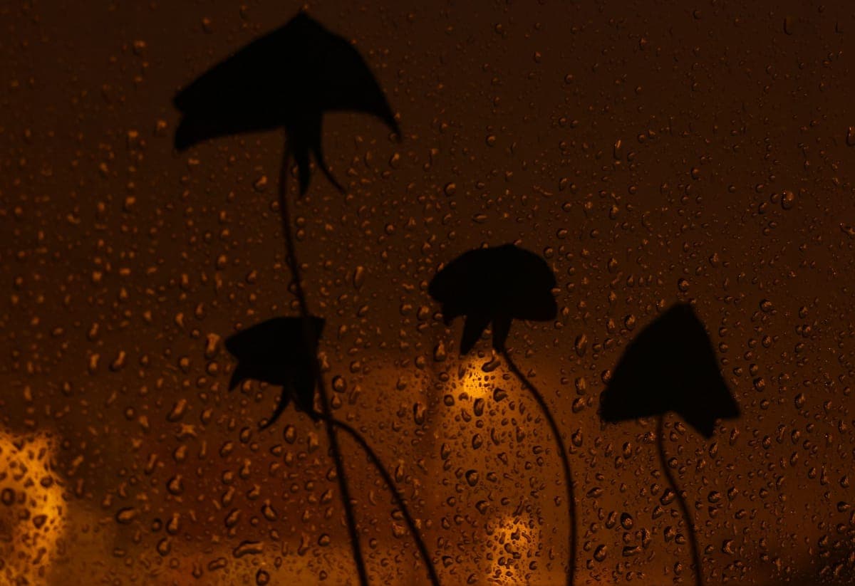 Rain falling on a covered yard prop under a dark sky