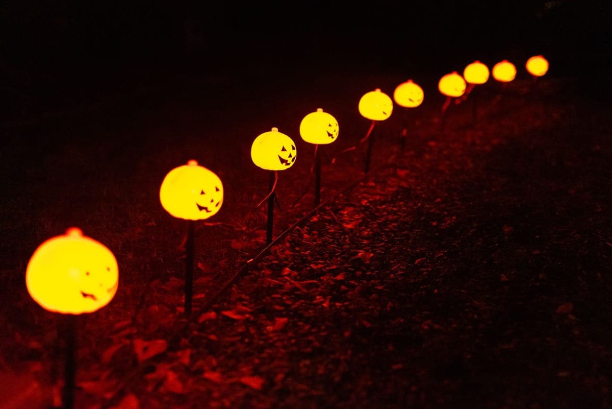 A lit animatronic figure standing in a decorated front yard at night