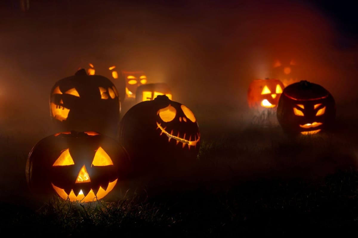 Small lit inflatable pumpkins spread across a front lawn at dusk