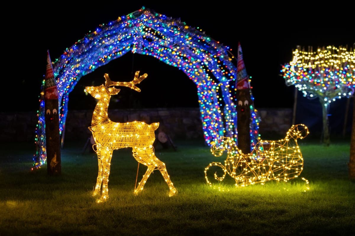 Colored spot and flood lighting across a decorated yard at night