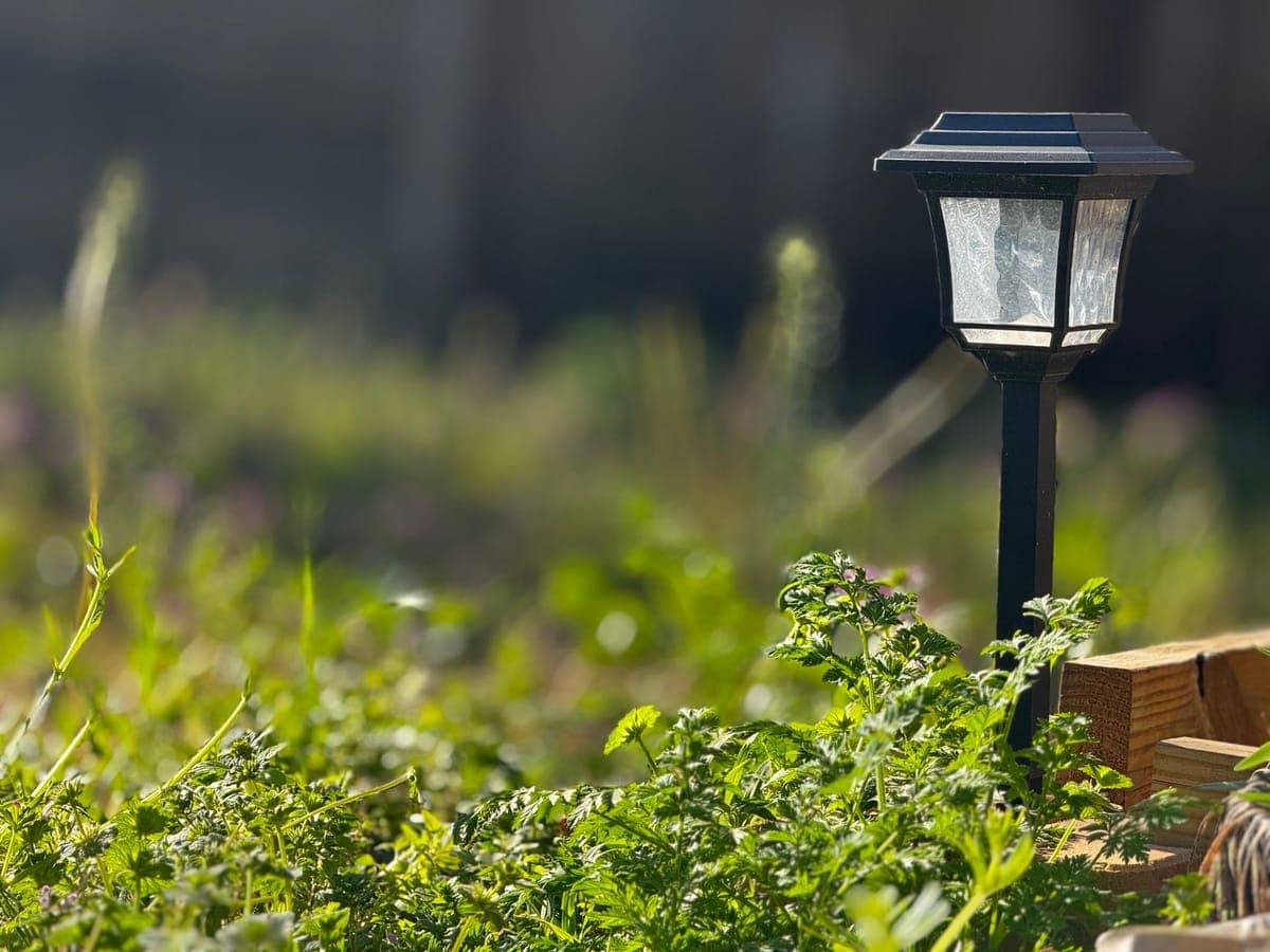 Solar stake lights along a path beside a mains-powered lit display