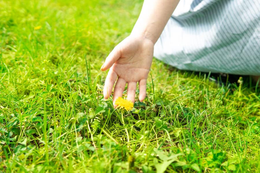 A clawed hand prop rising out of turf lit by a green flood