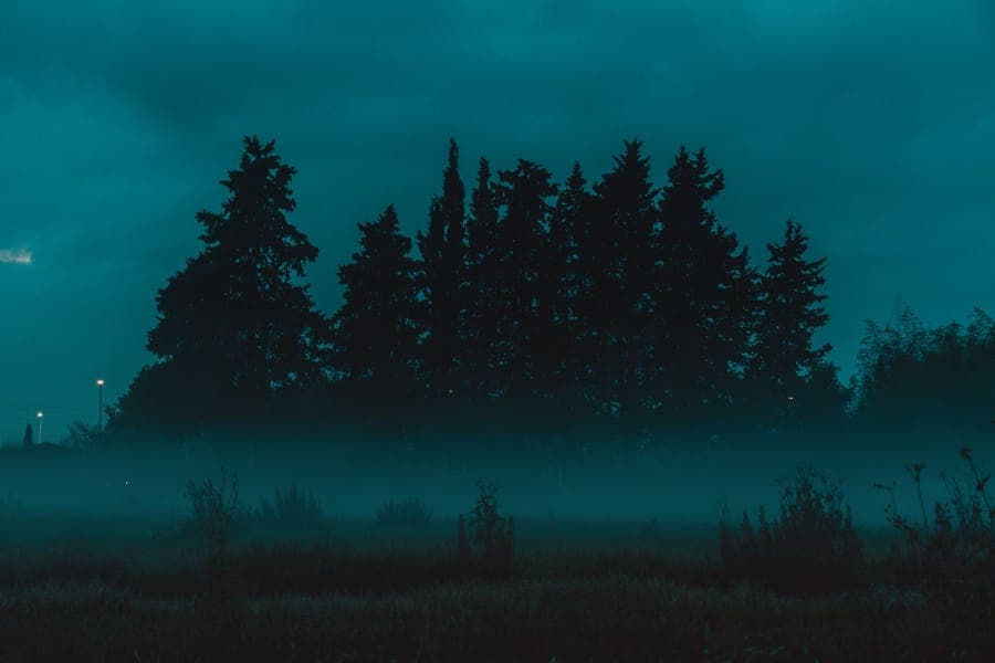 Fog lingering low between trees in a dark yard