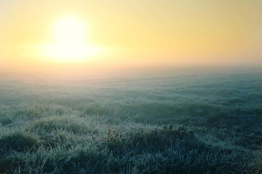 A dense band of low fog creeping across dark grass