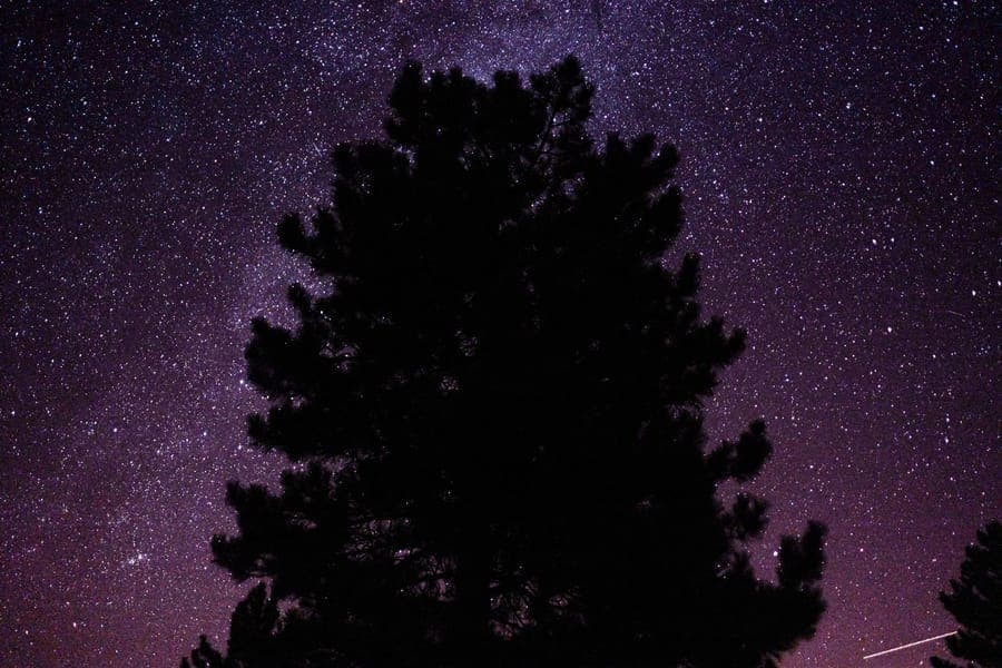 A towering skeleton silhouette lit from below against a night sky